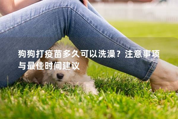 狗狗打疫苗多久可以洗澡?注意事項與最佳時間建議 狗狗打疫苗多久可以洗澡?注意事項與最佳時間建議