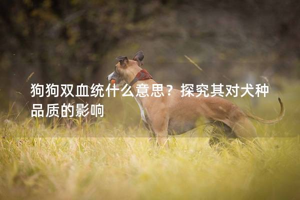 狗狗雙血統什么意思？探究其對犬種品質的影響