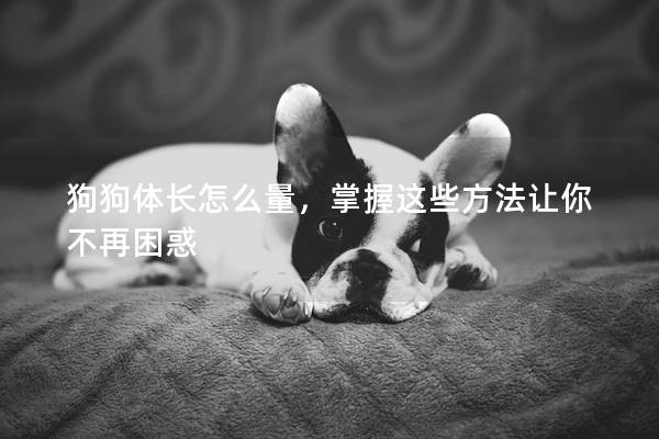 狗狗體長怎么量，掌握這些方法讓你不再困惑