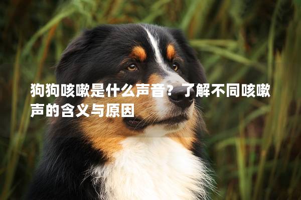 狗狗咳嗽是什么聲音？了解不同咳嗽聲的含義與原因