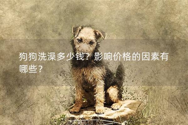 狗狗洗澡多少錢？影響價格的因素有哪些？