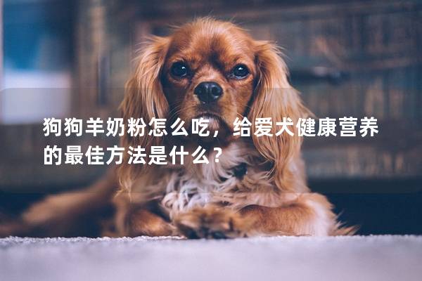 狗狗羊奶粉怎么吃，給愛犬健康營養的最佳方法是什么？