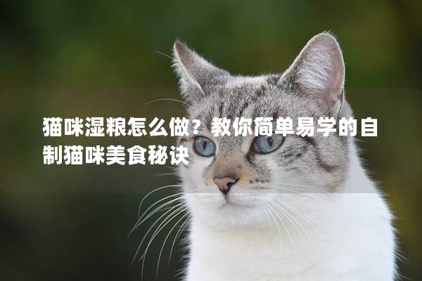 貓咪濕糧怎么做？教你簡單易學的自制貓咪美食秘訣