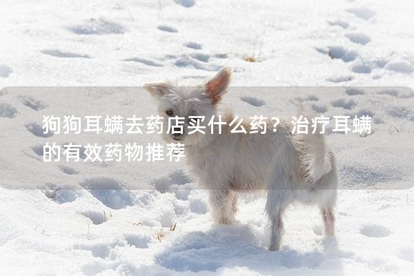 狗狗耳螨去藥店買什么藥？治療耳螨的有效藥物推薦