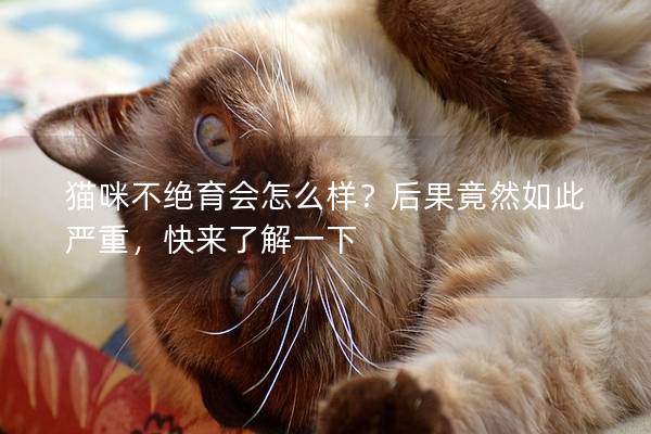 貓咪不絕育會怎么樣？后果竟然如此嚴重，快來了解一下
