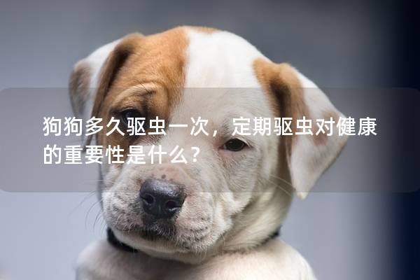 狗狗多久驅(qū)蟲一次，定期驅(qū)蟲對(duì)健康的重要性是什么？