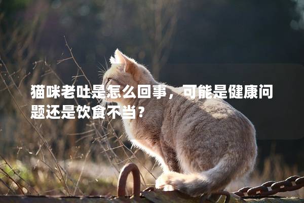貓咪老吐是怎么回事，可能是健康問題還是飲食不當？