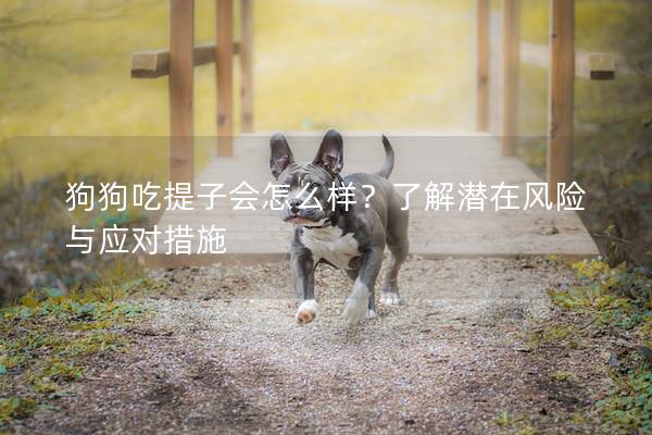狗狗吃提子會(huì)怎么樣？了解潛在風(fēng)險(xiǎn)與應(yīng)對(duì)措施