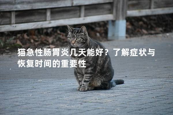 貓急性腸胃炎幾天能好？了解癥狀與恢復(fù)時(shí)間的重要性