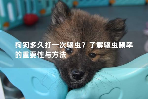 狗狗多久打一次驅(qū)蟲?了解驅(qū)蟲頻率的重要性與方法 狗狗多久打一次驅(qū)蟲?了解驅(qū)蟲頻率的重要性與方法