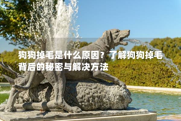 狗狗掉毛是什么原因？了解狗狗掉毛背后的秘密與解決方法