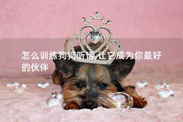 怎么訓(xùn)練狗狗聽話,讓它成為你最好的伙伴