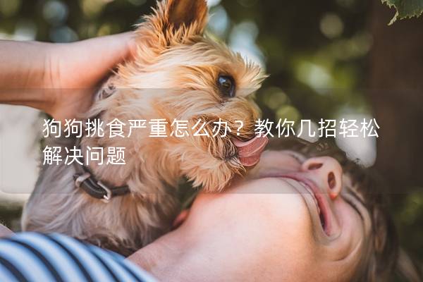 狗狗挑食嚴重怎么辦？教你幾招輕松解決問題
