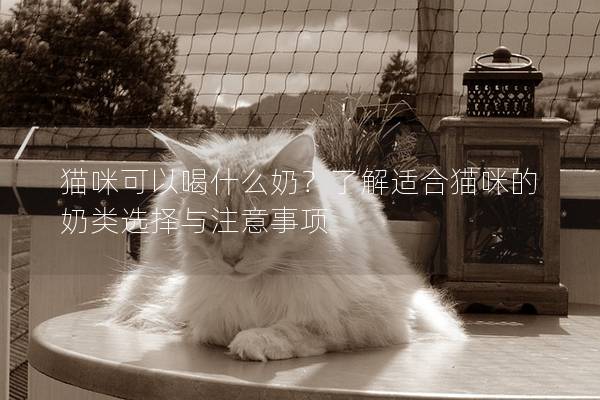 貓咪可以喝什么奶？了解適合貓咪的奶類選擇與注意事項(xiàng)