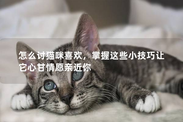 怎么討貓咪喜歡，掌握這些小技巧讓它心甘情愿親近你