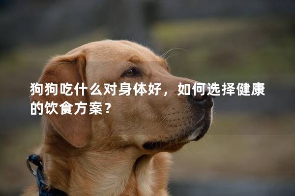 狗狗吃什么對身體好，如何選擇健康的飲食方案？