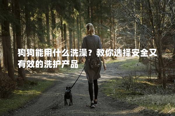 狗狗能用什么洗澡？教你選擇安全又有效的洗護(hù)產(chǎn)品