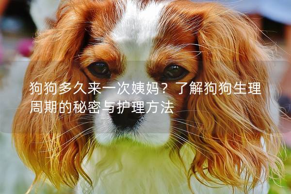 狗狗多久來一次姨媽?了解狗狗生理周期的秘密與護理方法 狗狗多久來一次姨媽?了解狗狗生理周期的秘密與護理方法