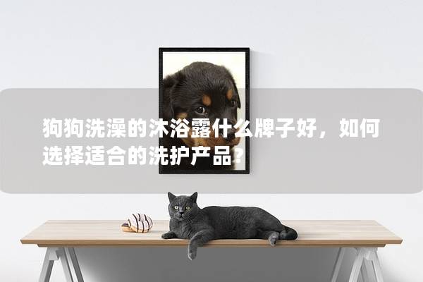 狗狗洗澡的沐浴露什么牌子好，如何選擇適合的洗護產品？