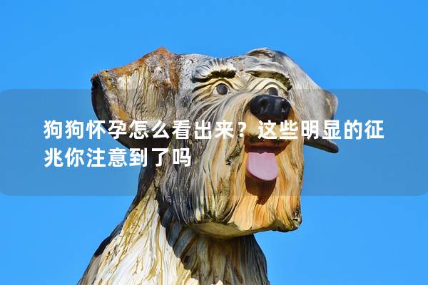 狗狗懷孕怎么看出來?這些明顯的征兆你注意到了嗎 狗狗懷孕怎么看出來?這些明顯的征兆你注意到了嗎