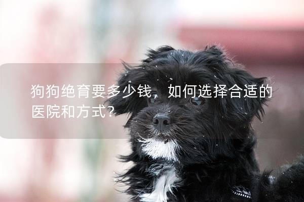 狗狗絕育要多少錢，如何選擇合適的醫(yī)院和方式？