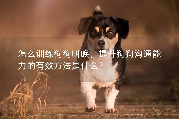 怎么訓練狗狗叫喚，提升狗狗溝通能力的有效方法是什么？