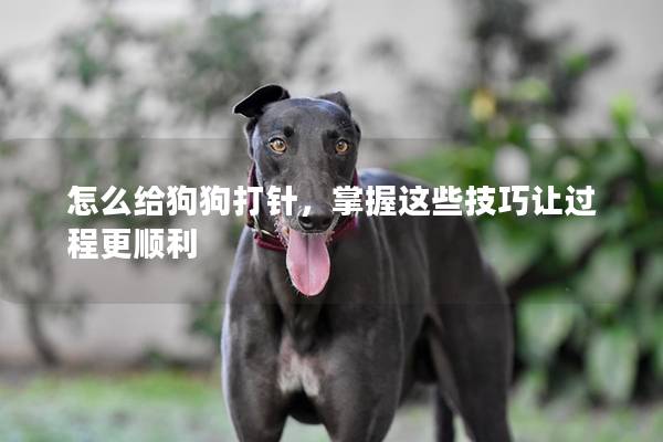 怎么給狗狗打針，掌握這些技巧讓過(guò)程更順利