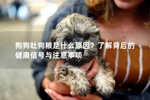 狗狗吐狗糧是什么原因？了解背后的健康信號(hào)與注意事項(xiàng)