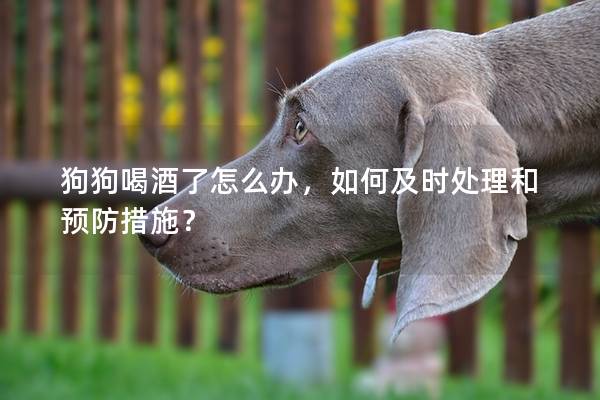 狗狗喝酒了怎么辦，如何及時(shí)處理和預(yù)防措施？