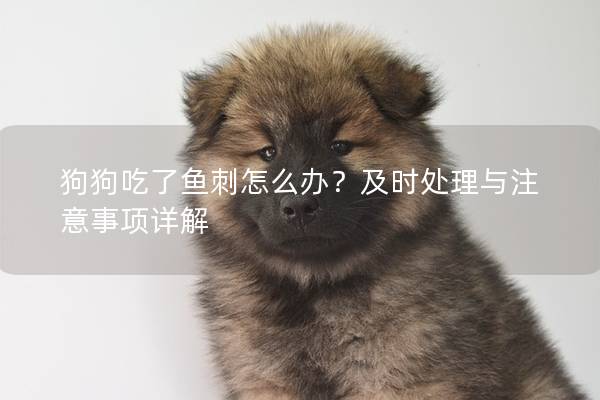 狗狗吃了魚刺怎么辦？及時處理與注意事項詳解