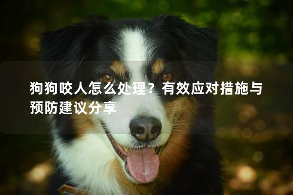 狗狗咬人怎么處理？有效應(yīng)對(duì)措施與預(yù)防建議分享