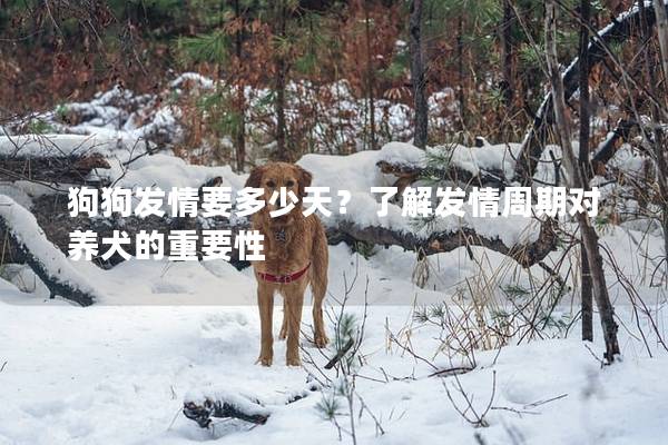 狗狗發(fā)情要多少天？了解發(fā)情周期對(duì)養(yǎng)犬的重要性