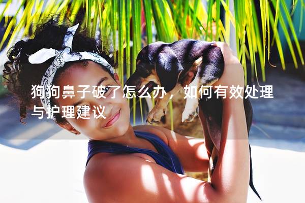 狗狗鼻子破了怎么辦，如何有效處理與護理建議