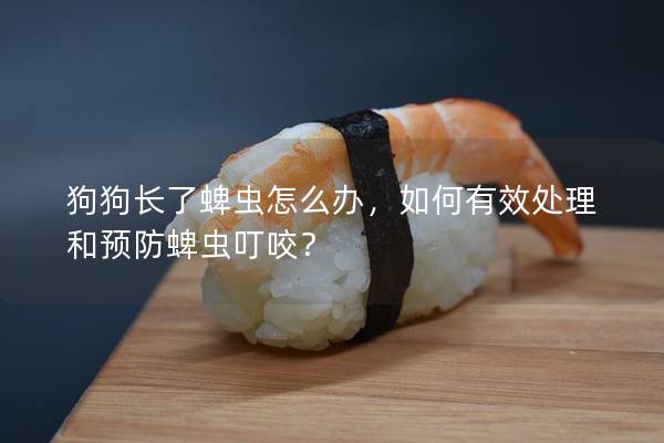 狗狗長(zhǎng)了蜱蟲怎么辦，如何有效處理和預(yù)防蜱蟲叮咬？