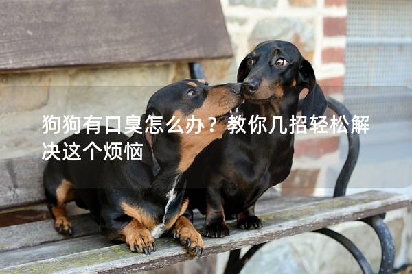 狗狗有口臭怎么辦？教你幾招輕松解決這個煩惱