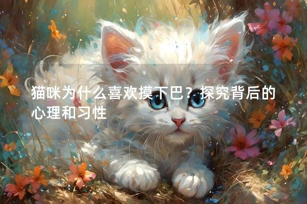 貓咪為什么喜歡摸下巴？探究背后的心理和習性