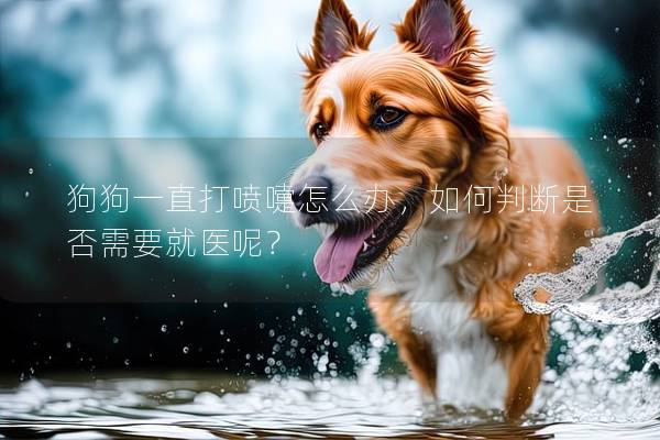 狗狗一直打噴嚏怎么辦,如何判斷是否需要就醫呢? 狗狗一直打噴嚏怎么辦,如何判斷是否需要就醫呢?