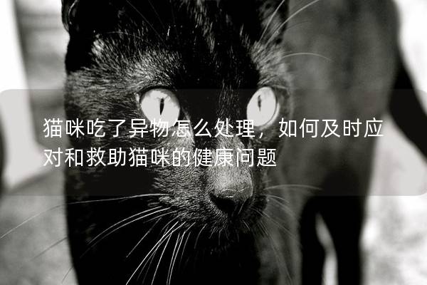 貓咪吃了異物怎么處理，如何及時應對和救助貓咪的健康問題