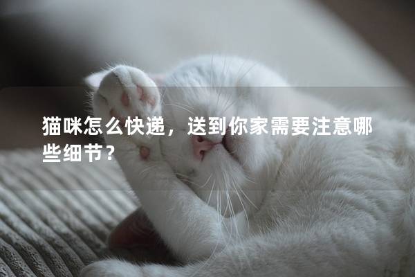 貓咪怎么快遞，送到你家需要注意哪些細(xì)節(jié)？