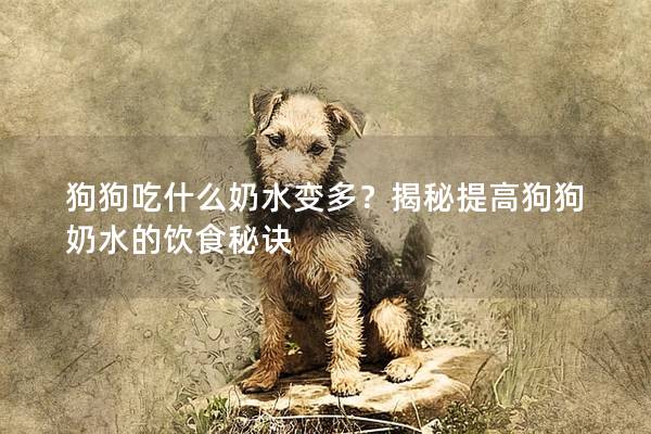 狗狗吃什么奶水變多？揭秘提高狗狗奶水的飲食秘訣