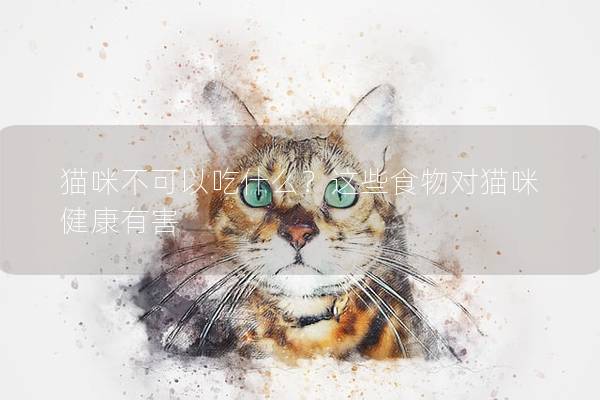貓咪不可以吃什么？這些食物對貓咪健康有害