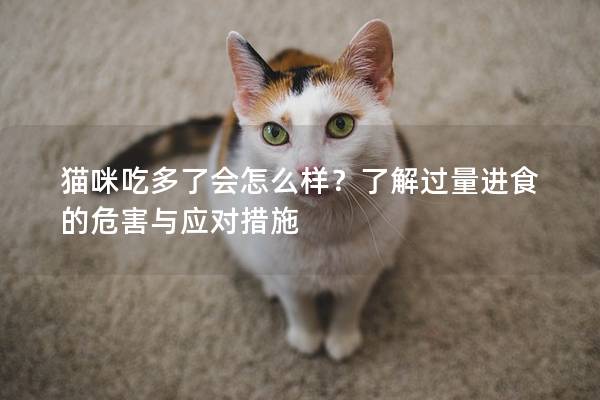 貓咪吃多了會(huì)怎么樣？了解過量進(jìn)食的危害與應(yīng)對(duì)措施