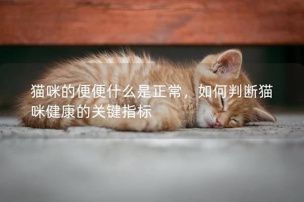 貓咪的便便什么是正常，如何判斷貓咪健康的關(guān)鍵指標