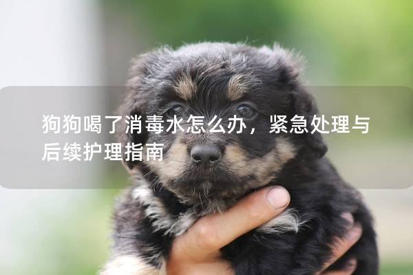 狗狗喝了消毒水怎么辦，緊急處理與后續護理指南