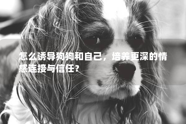 怎么誘導狗狗和自己，培養更深的情感連接與信任？