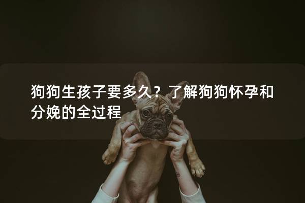 狗狗生孩子要多久？了解狗狗懷孕和分娩的全過程