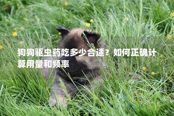 狗狗驅蟲藥吃多少合適？如何正確計算用量和頻率
