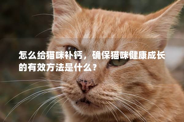 怎么給貓咪補鈣，確保貓咪健康成長的有效方法是什么？