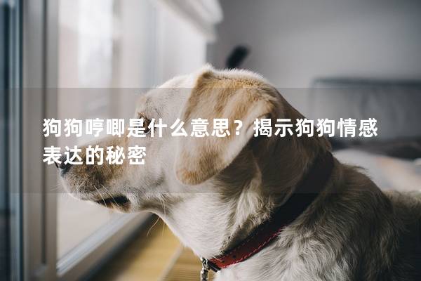 狗狗哼唧是什么意思？揭示狗狗情感表達的秘密