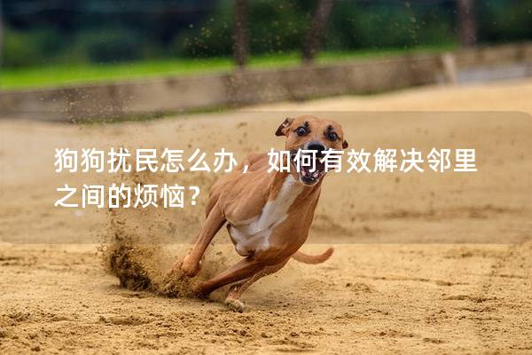 狗狗擾民怎么辦，如何有效解決鄰里之間的煩惱？